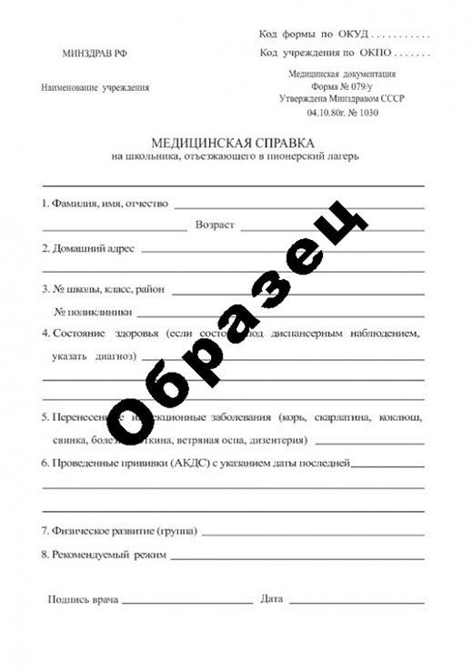 Справка в пионерский лагерь в Казани